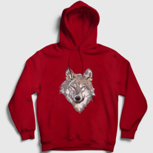 Bozkurt Kapşonlu Sweatshirt kırmızı