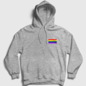 Gökkuşağı Logo Kapşonlu Sweatshirt gri kırçıllı
