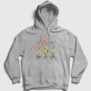 Minik Kuşlar Kapşonlu Sweatshirt gri kırçıllı